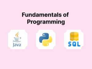 Fundamentals of programming